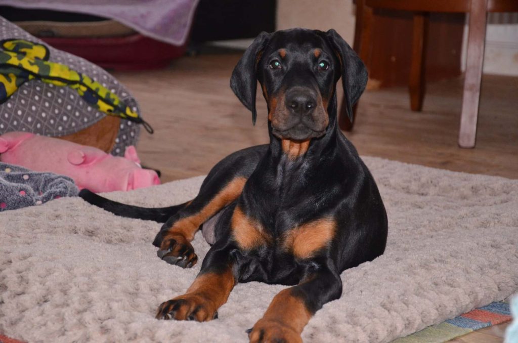 269757171_4969092879802245_7996794400142066616_n