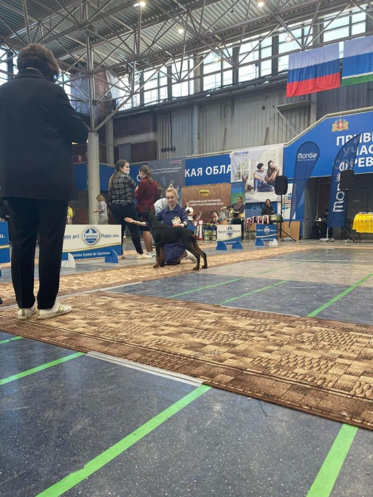 273586592_956051058633989_5033812549493882884_n