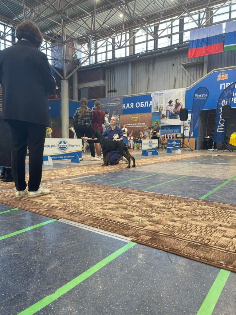 273820322_284314667141150_7751589978587606450_n