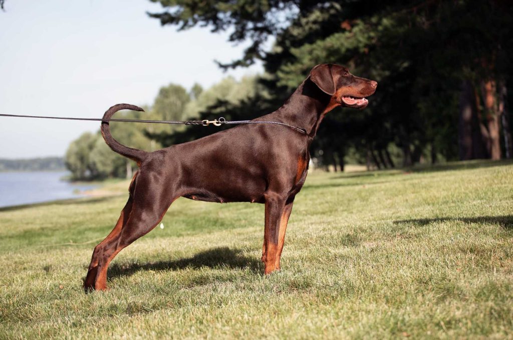 295991083_7839843916086891_165543874735615549_n