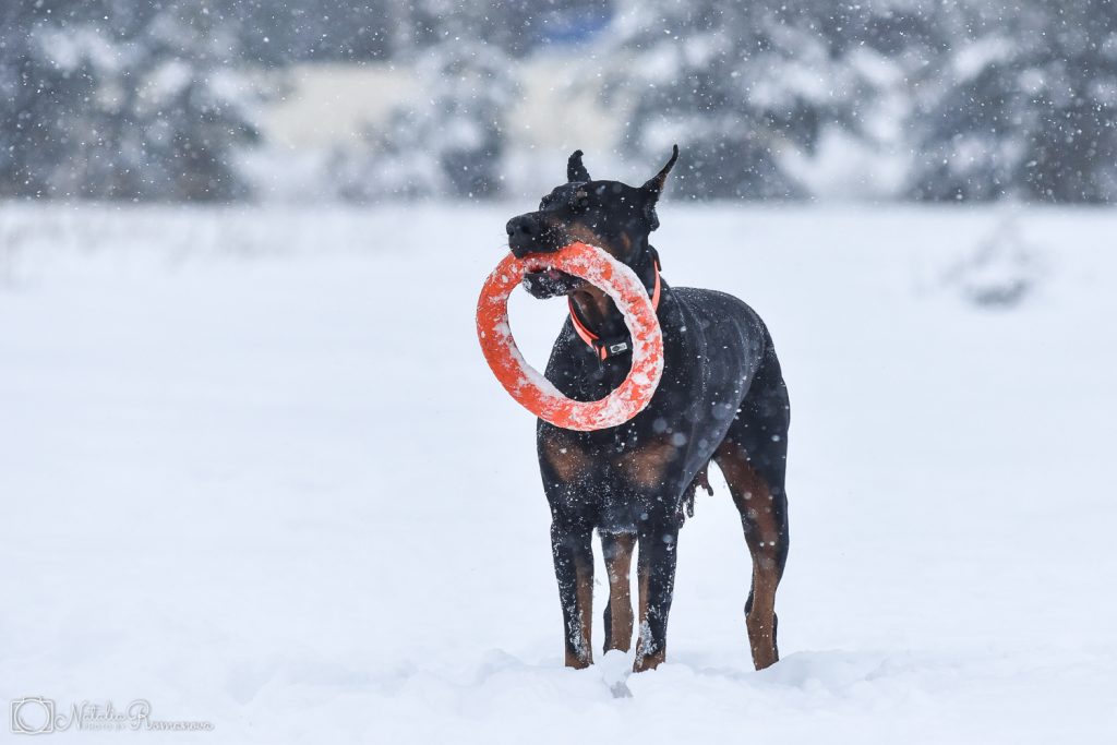 750_1322