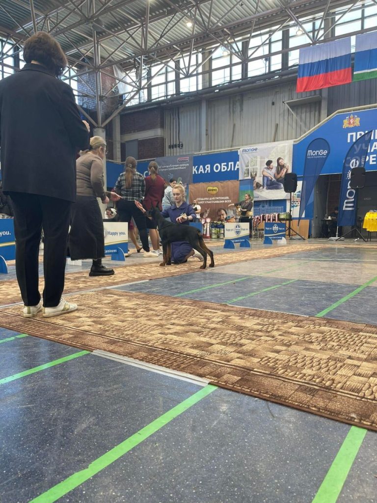273632966_504548977736425_8417091424874601430_n