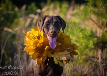 🍁🍁🍁Сегодня у нас был выходной. И мы наконец просто гуляли, ловили последние теплые деньки🍂🍂🍂