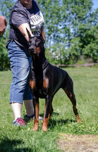 kenya93